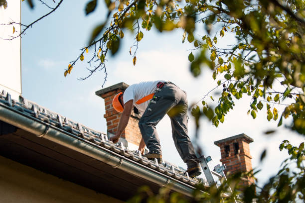 Best Metal Roofing Contractor  in Matamoras, OH